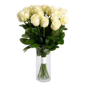 Bukiet białych/kremowych róż